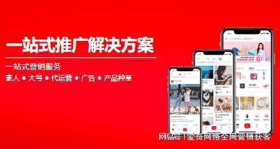 kaiyun体育全站怎么样进行网络营销(图1)