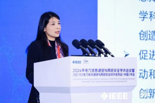 2024年电力信息通信与网络安全学术会议暨IEEEPESPSCCSTC年会成功召开(图14)